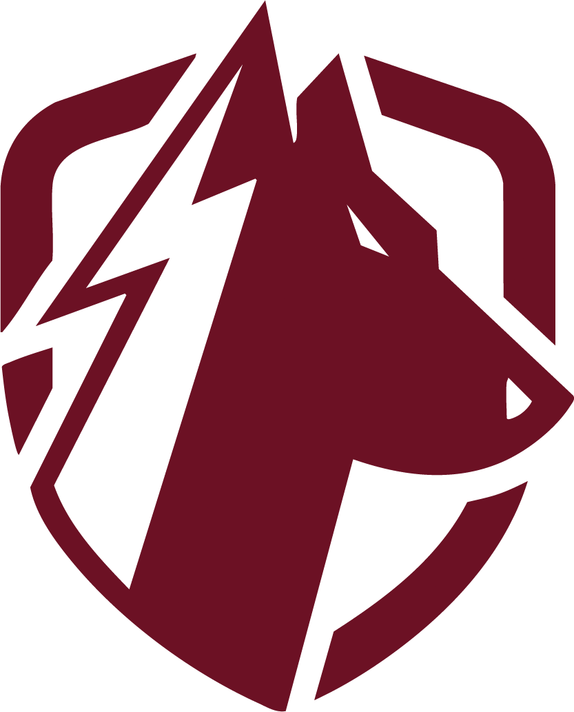 Instant Cheats Logo